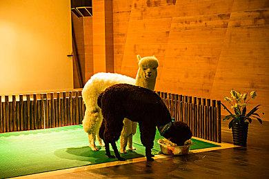 邪恶结局优化 《博德之门3》7号补丁下周终于到来